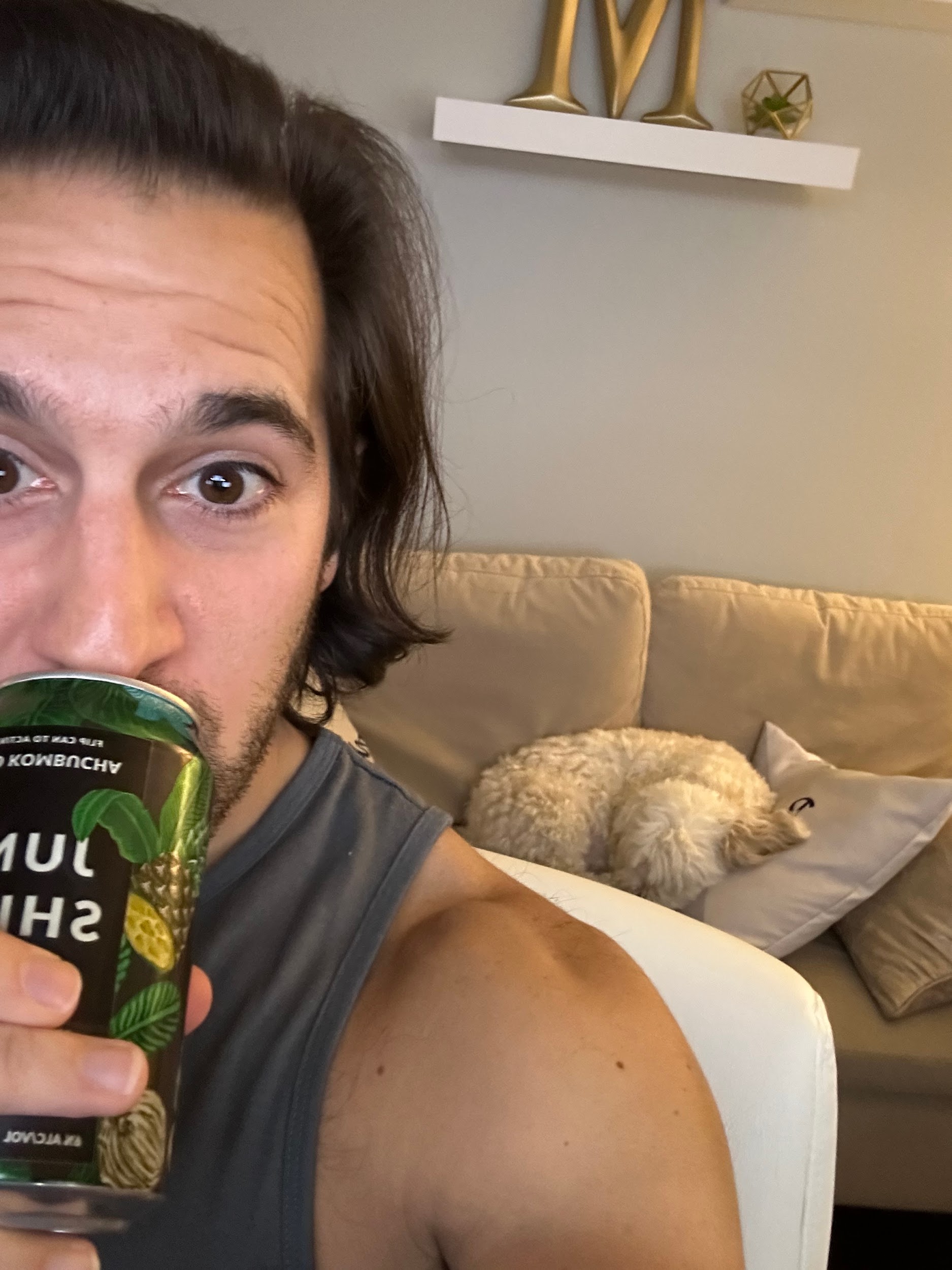 June Shine Midnight Painkiller