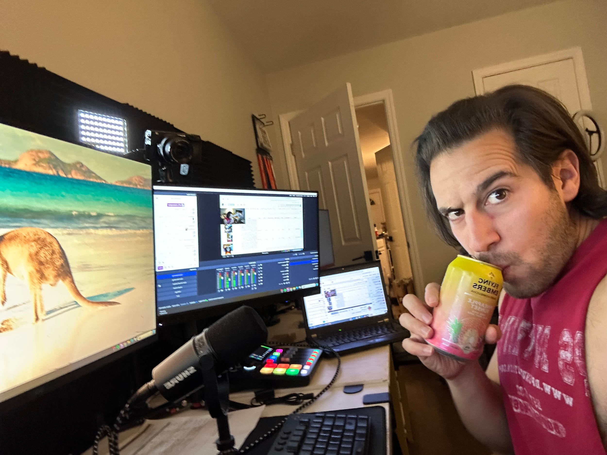 Flying Embers Pineapple Sunset