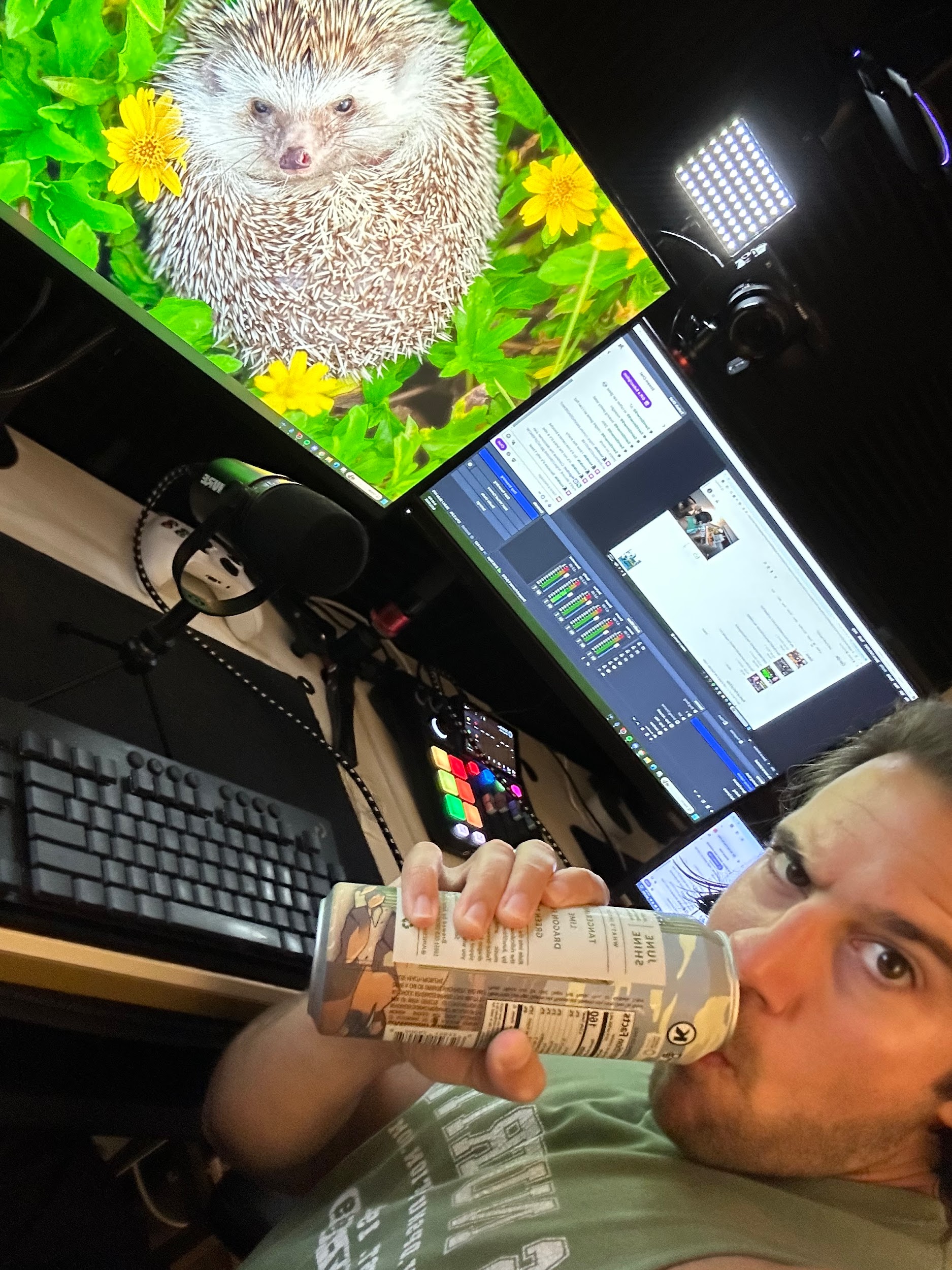 June Shine Desert Cooler