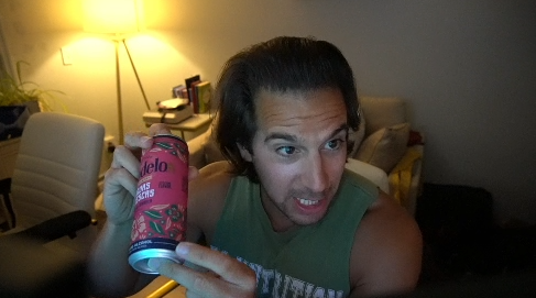 Modelo Agua Frescas Flor de Jamaica (Hibiscus)