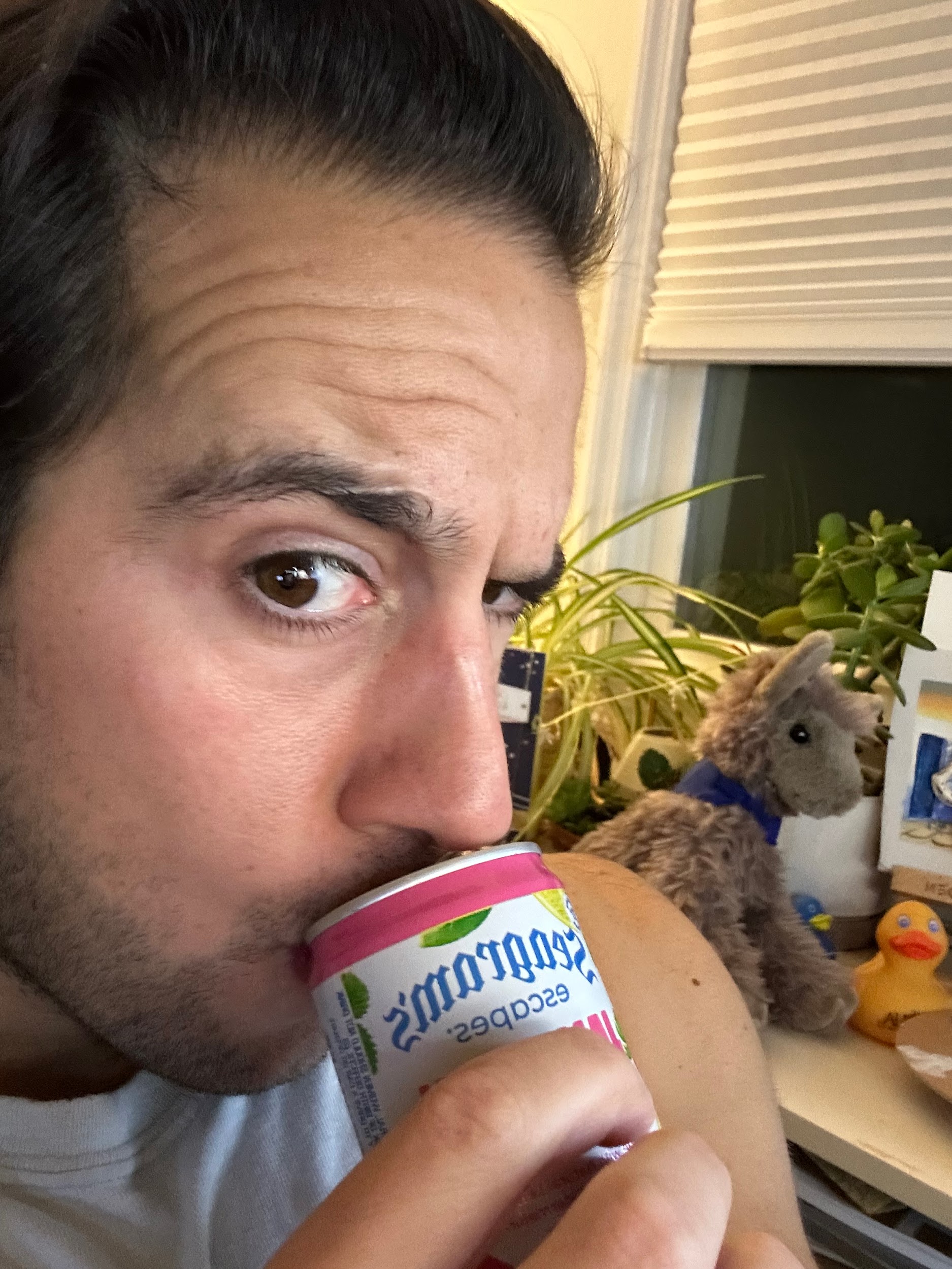 Seagram's Jamaican Me Happy