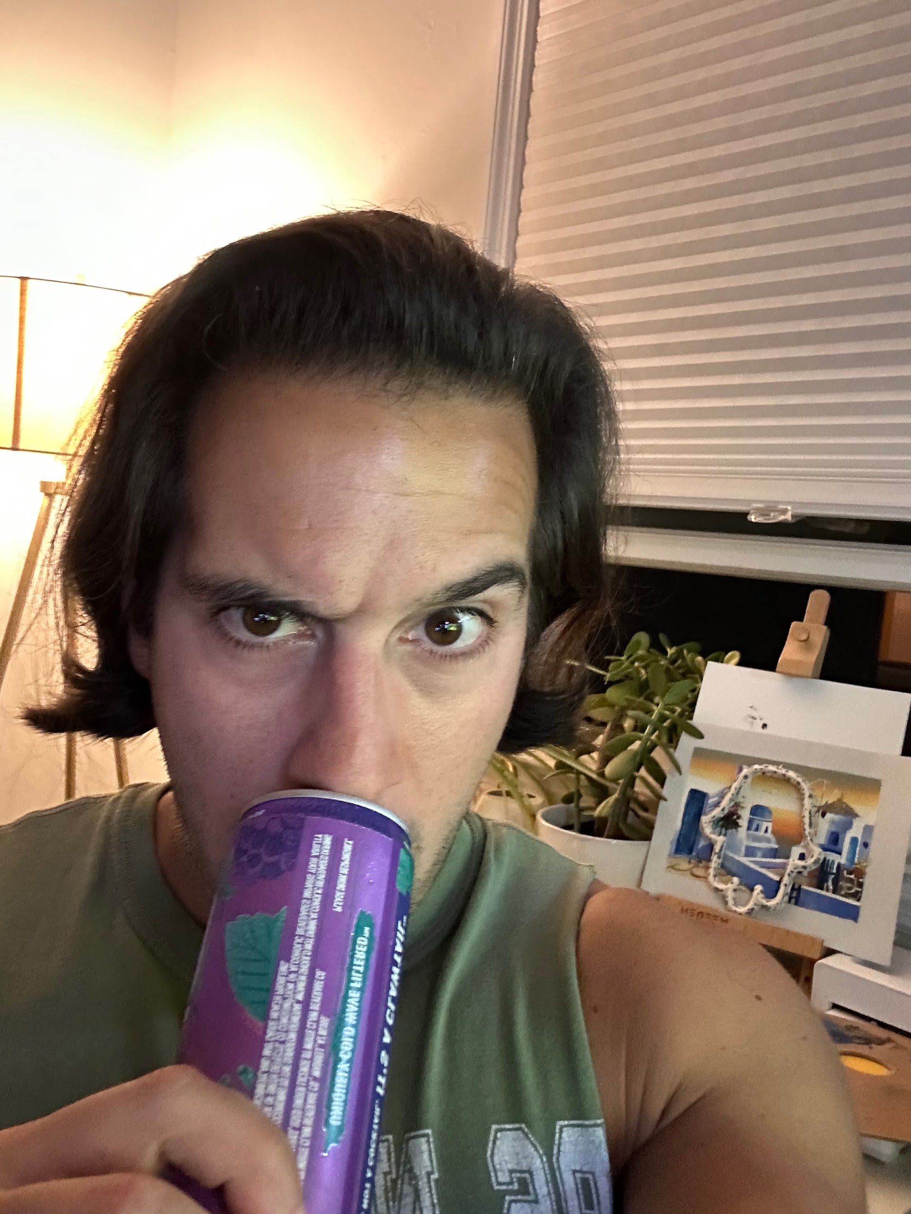 White Claw Blackberry Mojito